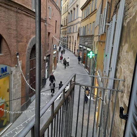 B&B Il Corso Siena Zewnętrze zdjęcie