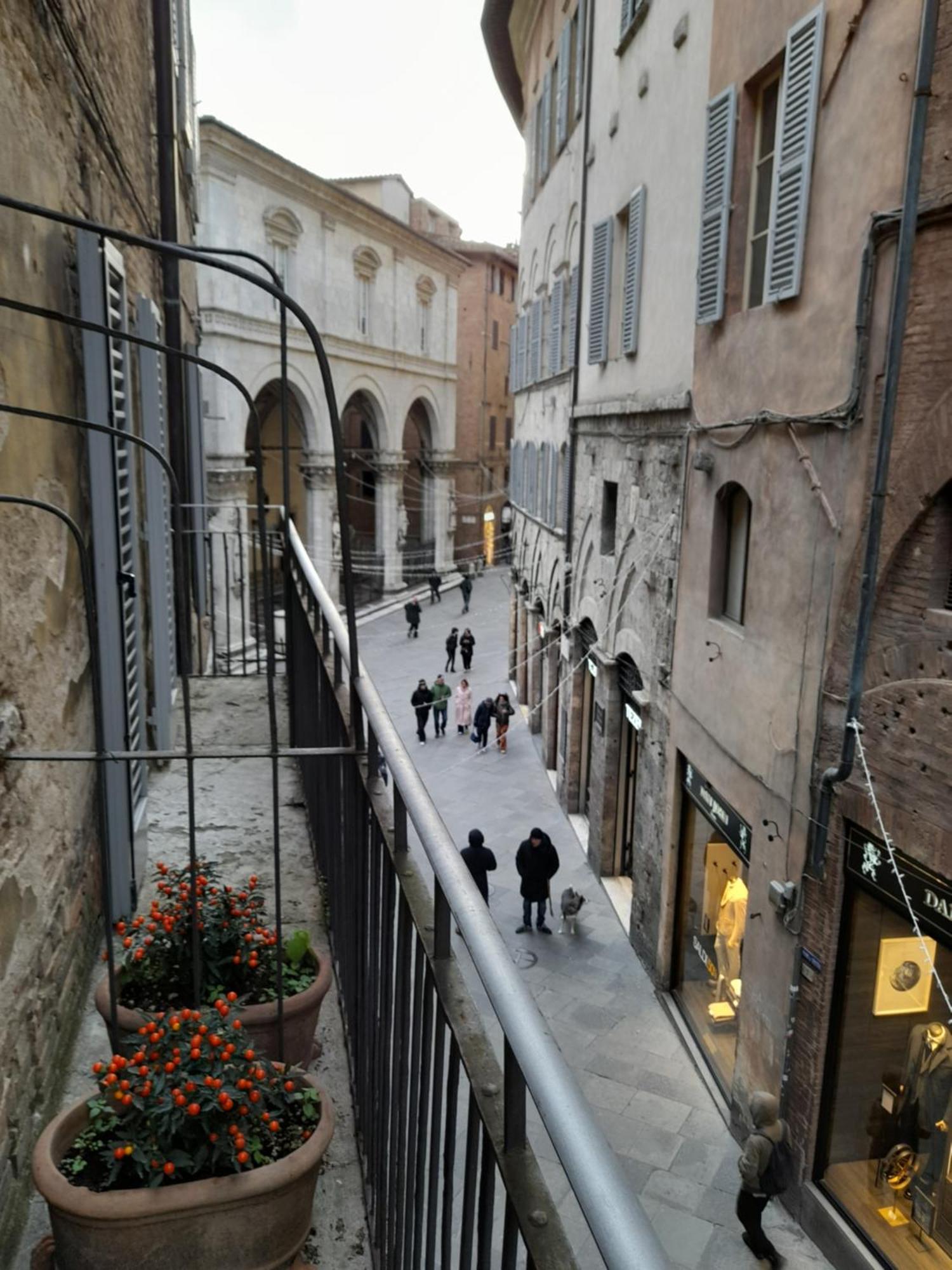 B&B Il Corso Siena Zewnętrze zdjęcie